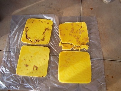 RIMG0066.jpg