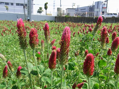 RIMG0067.jpg