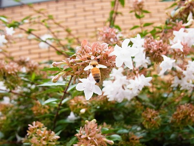 RIMG0069.jpg