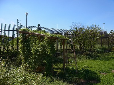 RIMG0072.jpg