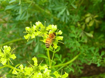RIMG0073.jpg