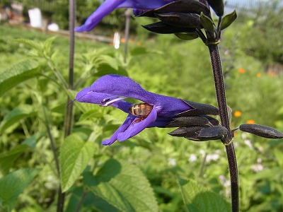 RIMG0075.jpg
