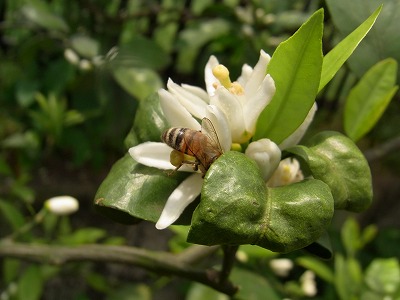RIMG0076.jpg