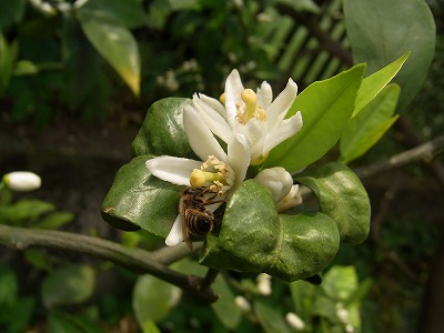 RIMG0077.jpg