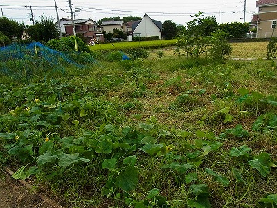 RIMG0079.jpg