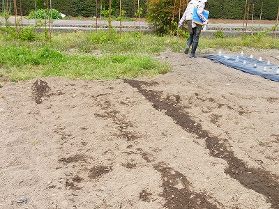 RIMG0079.jpg