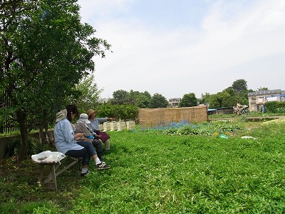 RIMG0079.jpg