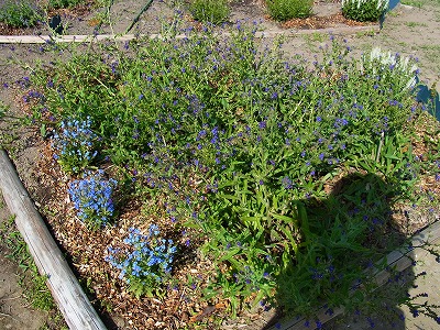 RIMG0082.jpg