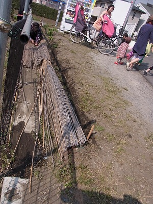 RIMG0082.jpg