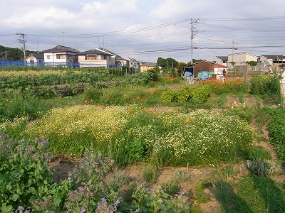 RIMG0085.jpg