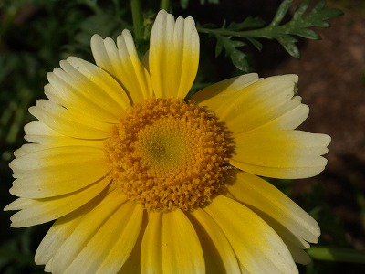 RIMG0085.jpg