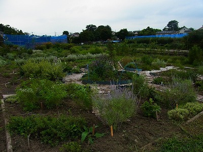 RIMG0086.jpg