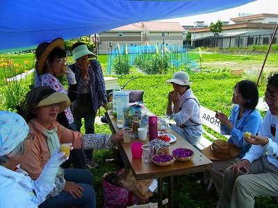 RIMG0086.jpg