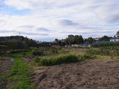 RIMG0087.jpg