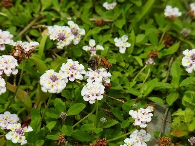 RIMG0088.jpg