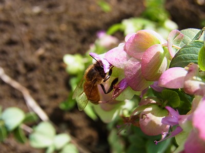 RIMG0088.jpg