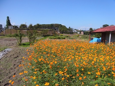 RIMG0088.jpg