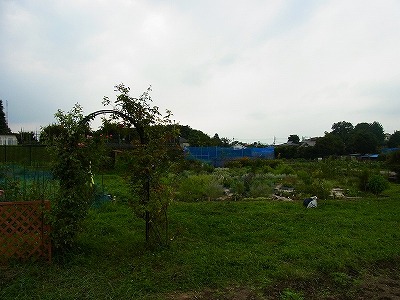 RIMG0089.jpg