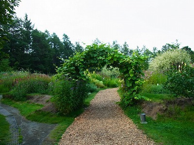 RIMG0089.jpg