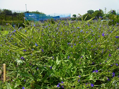 RIMG0091.jpg