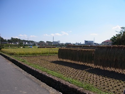 RIMG0091.jpg