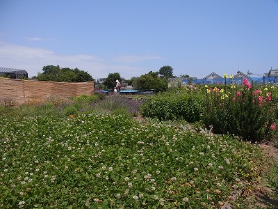 RIMG0096.jpg