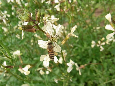 RIMG0096.jpg