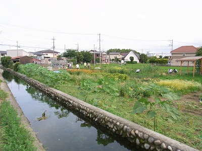 RIMG0097.jpg