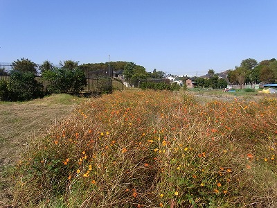 RIMG0098.jpg