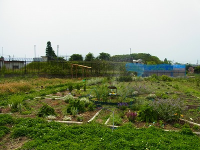 RIMG0099.jpg
