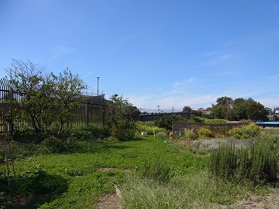 RIMG0106.jpg
