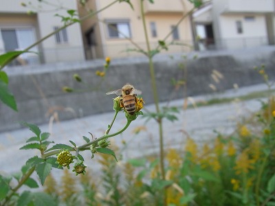 RIMG0108.jpg