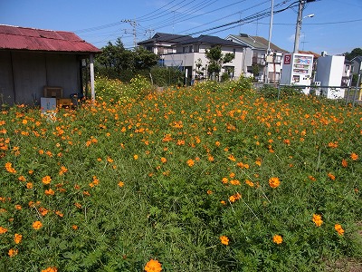 RIMG0109.jpg