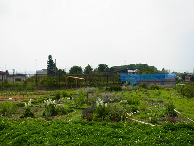 RIMG0111.jpg