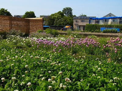 RIMG0112.jpg