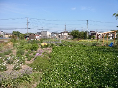RIMG0117.jpg