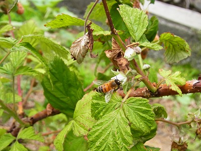 RIMG0117.jpg
