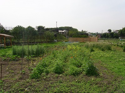 RIMG0119.jpg
