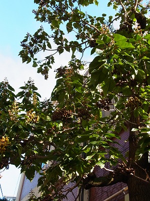 RIMG0124.jpg
