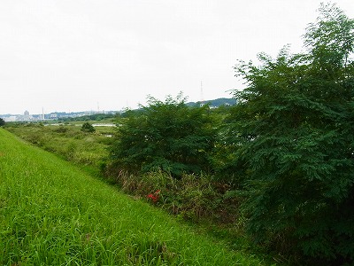 RIMG0127.jpg