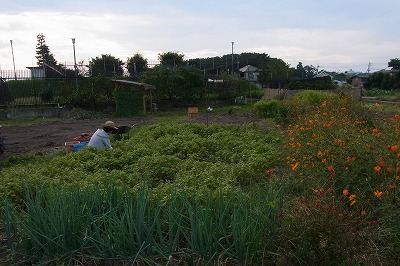 RIMG0131.jpg