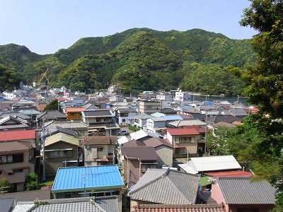 RIMG0131.jpg