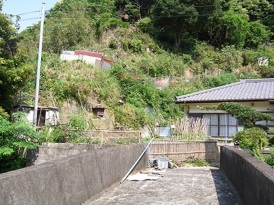 RIMG0134.jpg