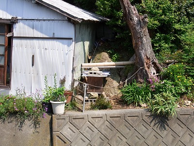 RIMG0137.jpg