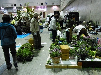 RIMG0137.jpg