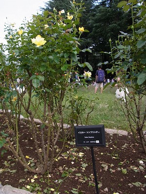 RIMG0138.jpg
