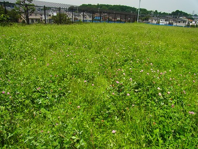 RIMG0141.jpg