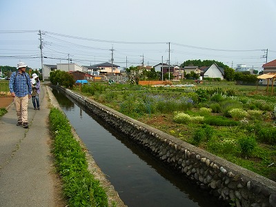 RIMG0142.jpg