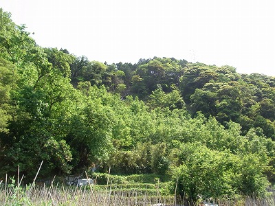 RIMG0142.jpg