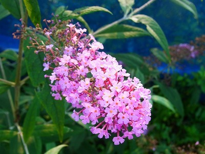 RIMG0148.jpg